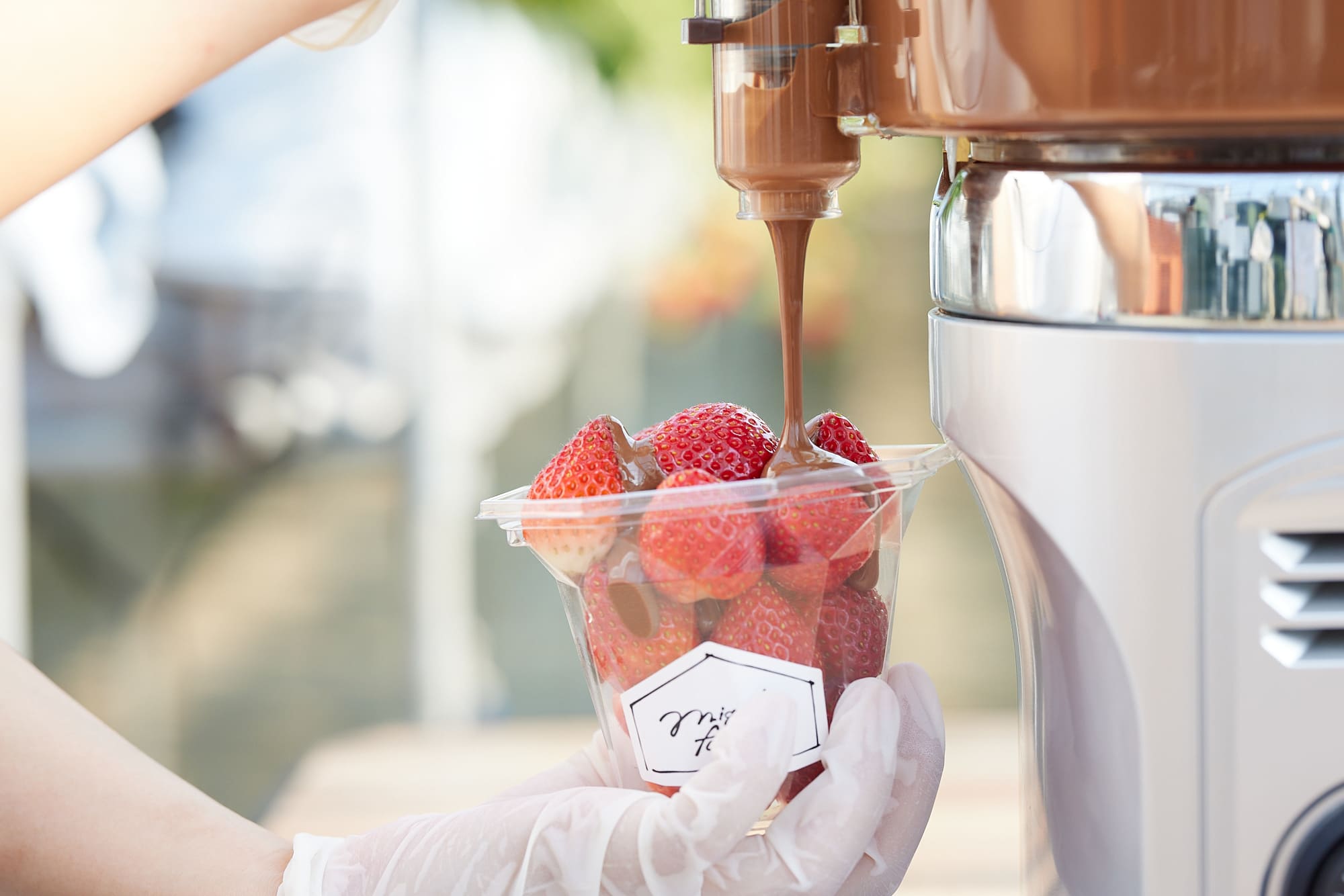 いちごのチョコがけイメージ